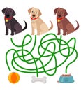 Cute dog educational maze game.