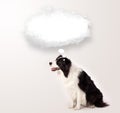 Cute dog with empty cloud bubble Royalty Free Stock Photo