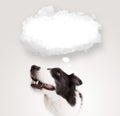 Cute dog with empty cloud bubble Royalty Free Stock Photo