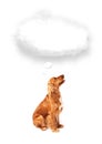 Cute dog with empty cloud bubble Royalty Free Stock Photo