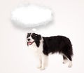 Cute dog with empty cloud bubble Royalty Free Stock Photo