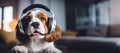Cute Dog Enjoying Music with Headphones, AI Generated