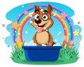 A cute dog excited to take a bath Royalty Free Stock Photo