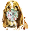 Watercolor portrait of basset hound in face mask