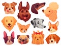 Cute dog face. Puppy pets, dogs animals breed and puppies heads vector illustration set Royalty Free Stock Photo