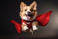 Cute Dog Feeling Like A Superhero, Complete With A Mask And Cape