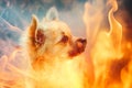 A cute dog with fiery sparks on a blurred background, radiating warmth and energy.