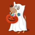 Cute dog in a ghost costume with a pumpkin for Halloween sweets.