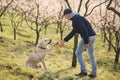 Cute dog giving paw to his pet owner Royalty Free Stock Photo