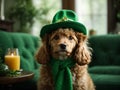 Cute dog with green hat near table with orang juice and green sofa at home. St. Patrick's Day celebration