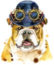 Watercolor portrait of bulldog with hat bowler and steampunk glasses