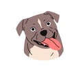 Cute dog head of Staffordshire bull terrier breed. Staffy puppy portrait, canine avatar. Stafford doggy face, muzzle