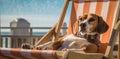 relax dog vacation summer pet chair funny lazy beach sunglasses. Generative AI. Royalty Free Stock Photo