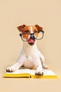 Cute dog jack russell terrier lying with book, reading and studying Royalty Free Stock Photo