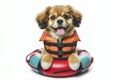 cute dog with life vest and floatation device Isolated on solid white background. ai generative