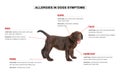 Cute dog and list of allergies symptoms