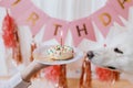 Cute dog looking at birthday donut with candle on background of pink garland. Dog birthday party Royalty Free Stock Photo