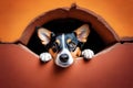 A cute dog peeks out of a hole in the wall with big curious eyes