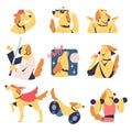 Cute Dog Pet in Different Situation Vector Set Royalty Free Stock Photo