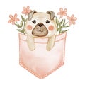 Cute dog in a pocket with flowers watercolor illustration