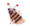 Cute dog pug breed in bee costume vector flat illustration. Funny domestic animal character wearing apparel sitting