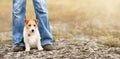 Cute dog puppy sitting with her owner, travelling with pet banner Royalty Free Stock Photo