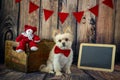 Cute Dog with Red bowtie with chalkboard