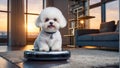 Cute dog, robot vacuum cleaner at home concept