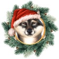 Cute dog in Santa hat. Christmas illustration.