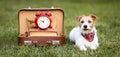 Cute dog with schoolbag, back to school or puppy training banner Royalty Free Stock Photo