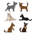 Cute dog set Different breeds of dogs. Vector set of icons. Vector illustration isolated on white, cartoon funny dogs Royalty Free Stock Photo