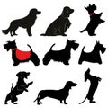 cute dog shapes vector collection Royalty Free Stock Photo