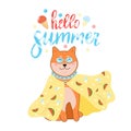 Cute dog shiba inu. Colorful hello summer lettering. Sticker, card, poster design