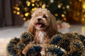 Cute dog with shiny tinsels on floor against blurred lights Royalty Free Stock Photo