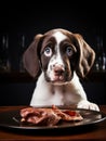 cute dog sitting at the dining table and eating a raw fresh meat closeup