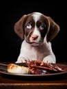 cute dog sitting at the dining table and eating a raw fresh meat closeup