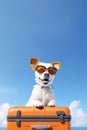 Cute dog sitting on orange suitcase. Travel, vacation concept. Generative AI Royalty Free Stock Photo