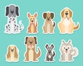 Cute dog sitting sticker collection