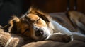 Cute Dog Sleeping after Studying. Dog Sleeping in her Notebook after Studying. AI Generative Royalty Free Stock Photo