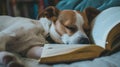 Cute Dog Sleeping after Studying. Dog Sleeping in her Notebook after Studying. AI Generative Royalty Free Stock Photo