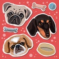 Cute dog stickers. Pekingese, dachshund and pug.