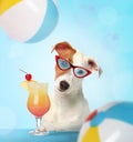Cute dog in sunglasses with cocktail on light blue background. Summer party Royalty Free Stock Photo