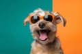 cute dog sunglasses pet smile purebred funny portrait background animal . Generative AI.