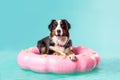 Cute dog with sunglasses in swimming donut. Summer vibes, holiday, vacation concept. Ai generative. Illustration