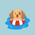 Cute Dog Swimming Summer Cartoon Royalty Free Stock Photo