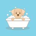 Cute Dog Take Bath Cartoon Character Royalty Free Stock Photo