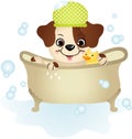 Cute dog taking a bath