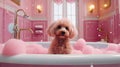 Cute dog taking a bath in a pink bathtub with pink foam Royalty Free Stock Photo