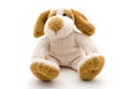 Cute dog toy shot on a white background. Royalty Free Stock Photo