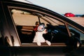 cute dog traveling in a car wearing vintage goggles at sunset Royalty Free Stock Photo